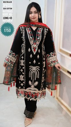 Embroidery dress (free size stitched)