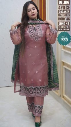 Alternative view of Embroidery dress (semi-stitched)