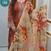 Embroidary dress ( unstitched)